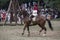 03 August 2019, Nobleman Horse Show in a historical recreation `O Chamamento` during a medieval event.