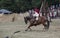 03 August 2019, Nobleman Horse Show in a historical recreation `O Chamamento` during a medieval event.