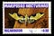 07.24.2019 Divnoe Stavropol Territory Russia Postage stamp Nicaragua 1983 year Series Night butterflies mariposas nocturnas