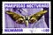 07.24.2019 Divnoe Stavropol Territory Russia Postage stamp Nicaragua 1983 year Series Night butterflies mariposas nocturnas