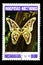 07.24.2019 Divnoe Stavropol Territory Russia Postage stamp Nicaragua 1983 year Series Night butterflies mariposas nocturnas