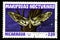 07.24.2019 Divnoe Stavropol Territory Russia Postage stamp Nicaragua 1983 year Series Night butterflies mariposas nocturnas agrius