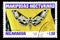 07.24.2019 Divnoe Stavropol Territory Russia Postage stamp Nicaragua 1983 year Series Night butterflies mariposas nocturnas pholus