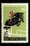 07.24.2019 Divnoe Stavropol Territory Russia postage stamp USSR 1962 world championship mexico rider on horseback jumps over a