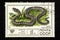 07.24.2019 Divnoe, Stavropol Territory, Russia. USSR postage stamp 1977. Series - Poisonous snakes are useful representatives of a