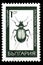 08 12 2019 Divnoe Stavropol Territory Russia postage stamp Bulgaria caterpillar calosoma sycophanta beetle on the white background