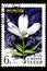 08 12 2019 Divnoe Stavropol Territory Russia postage stamp USSR 1977 yellow stalk large a white flowers with green leaves