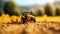 0Farmers_Agricultural_machinery