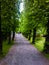 1/6/2013/ bergan ,norway, a long walking path in a park in norway