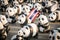 1,600 pandas papier mache sculptures will be exhibited in Bangkok