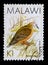 A 1-kwacha stamp printed in Malawi