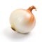 1 large onion on a clean white background