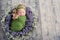 10 day old newborn baby is sleeping in basket. Two week old child. Beginning of life and happy fairy magic childhood concept. copy