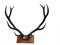 10 Point Mounted Stag Horns