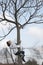 10 year old girl climb on a tree looking up.