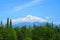 100% Clear View of Mount Denali on a sunny day