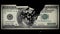 100 Dollar bill crashes down in fragments.