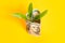 100 dollars banknote with growing up green plant on yellow background. Profit, income and earnings concept
