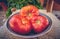 100% natural organic tomatoes from the garden. Large non-transgenic tomatoes
