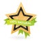 100% natural promotional sign - gold star w