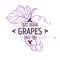 100 percent organic grapes label with flavourful purple fruit for all natural food packaging design