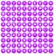 100 pumpkin icons set purple