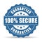 100 secure icon