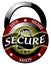 100 secure padlock icon