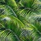 1002 Tropical Palm Leaves: A vibrant and tropical background featuring tropical palm leaves in lush greens and vibrant colors th