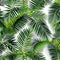 1002 Tropical Palm Leaves: A vibrant and tropical background featuring tropical palm leaves in lush greens and vibrant colors th