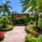 1013 Tropical Botanical Garden: A vibrant and tropical background featuring a tropical botanical garden with lush foliage, color