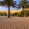 1020 Desert Oasis: A serene and picturesque background featuring a desert oasis with palm trees, golden sand dunes, and warm col