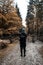 11/02/2019 new forest, Hampshire, UK A man wearing a backpack standing on an autumn forest path