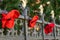 11/06/2019 Winchester, Hampshire, UK knitted red poppies attached to a fence for remembrance day