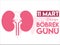 11 March World Kidney Day Turkish translate: 11 Mart Dunya Bobrek Gunu