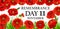 11 November remembrance day poppy flowers