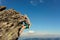 A 11-year-old boy is studying mountaineering in the Carpathians, a boy climbs to the top of a rocky rock alone without the help of