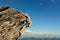A 11-year-old boy is studying mountaineering in the Carpathians, a boy climbs to the top of a rocky rock alone without the help of
