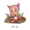 12 of 12, the last Animal chinese zodiac sign: Pig