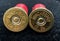 12 Gauge Winchester Shotgun Shells
