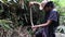 12 September 2020, an Asian man is in a forest to catch a wild snake, nature video