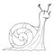 1200 snail, black and white snail drawing, fabulous character, vector illustration, isolate