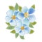 1284 flowers, vector illustration, images of blue flowers with leaves, isolate on a white background