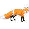 1289 fox, vector illustration, fox image, wild animal, isolate on a white background