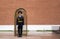 13.07.2009 Moscow,guard of Honor at the Eternal flame on the tomb of the Unknown soldier