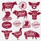 13 butchery logo, label, emblem, poster. Farm animals