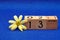 13 December on wooden blocks with a yellow flower