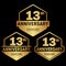 13 years anniversary celebration logotype. 13th anniversary logo collection
