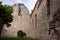 13th century ruin on Margaret Island, Budapest, Hungary.