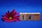 14 January on wooden blocks with a purple daisy